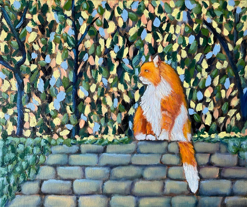 Shop Secondary Image